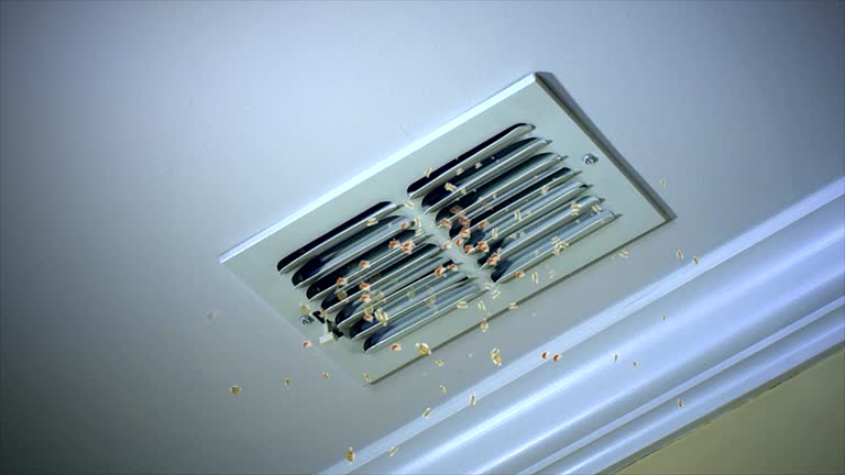 Best HVAC System Cleaning  in Desnso, CA